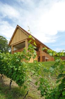 Vino Valdhuber Apartments - Svečina - 3