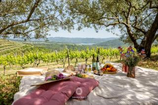 Casa mille olivi 2 - Buzet - 5