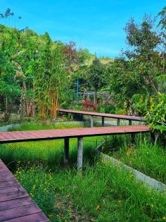 Nakhokyor Farm - Ko Yao Yai - 7