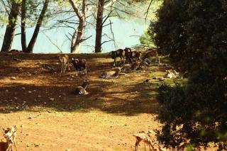 Gran Hotel Spa Parque de Cazorla - 1