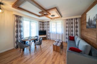 Apartamenty Sun & Snow Resorts C Białka Tatrzańska z sauną - Białka Tatrzańska - 8