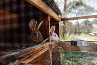 La BERBENA casa rural en el campo - 2
