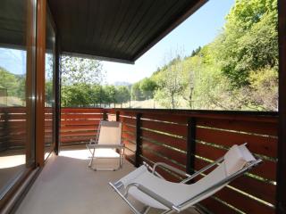 Mont-Dore: Duplex 3 pièces avec balcon, parking - FR-1-608-161 - Mont-Dore - 0