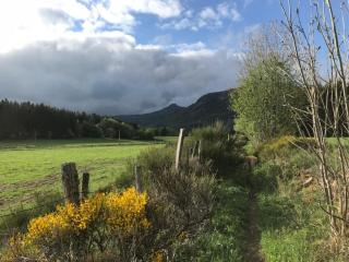 Mont-Dore : Studio Centre avec Ascenseur - 2 Pers - Cuisine Équipée - FR-1-608-103 - 5