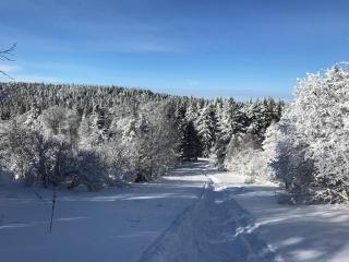 Mont-Dore Studio 2* avec garage, 300m du centre - FR-1-608-148 - 1