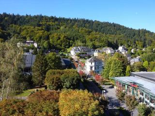 Mont-Dore: Beau T2 Centre 5 pers, Lumineux avec Wifi - FR-1-608-134 - Mont-Dore - 8