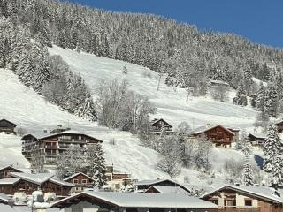 Les Gets - Charmant Appartement 3* au Centre, Proche Pistes, 2 Chambres, 6/8 pers, Parking Inclus - FR-1-623-72 - 9