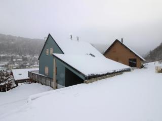 Chalet spacieux avec terrasse et poêle à bois près du centre - FR-1-608-65 - Mont-Dore - 0