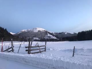 Le Mont Dore - Studio centre ville avec wifi - FR-1-608-74 - 4