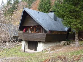 Mont-Dore : Chalet agréable avec WIFI pour 9 personnes - FR-1-608-88 - Le Mont-Dore - 1
