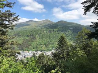 T2 de Standing à 300m des Thermes du Mont-Dore avec Parking et Ascenseur - FR-1-608-99 - 3