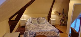 Gîte d'Isabelle, dépendance du château de la Mézière - Lunay - 8