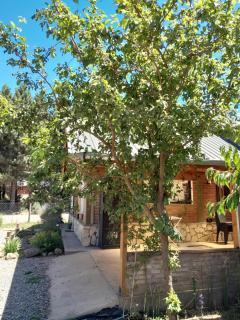 Escallonia House - San Martín de los Andes - 5