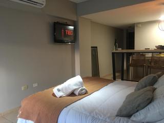 Departamento Minimalista en pleno centro - San Miguel de Tucumán - 5