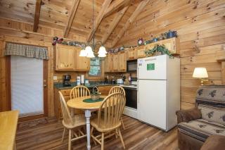 ER65 - Eagles Point - Great location, Close to all the action! cabin - 5