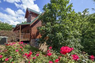 ERN832 - Lakeside Hideaway - Great Location! Close To All The Action! cabin - 9