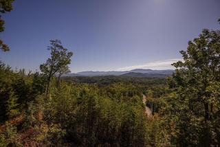 Dunder Mountain Views Cabin Retreat cabin - Sevierville - 8