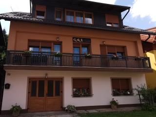 Apartments with a parking space Delnice, Gorski kotar - 20247 - Delnice - 0