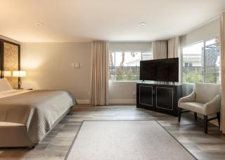 Onsen Hotel and Spa - 3