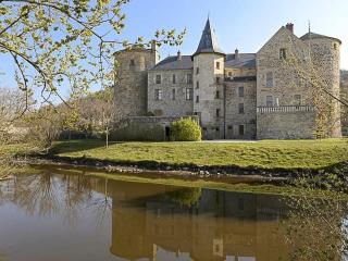 Appartement Spacieux avec Jardin Privatif, Proche du Puy-en-Velay et d'un Golf, WiFi Inclus - FR-1-582-286 - Saint-Pierre-Eynac - 6
