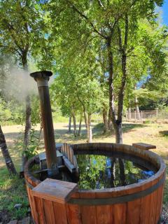 CABAÑAS CARMEN SUR - 3