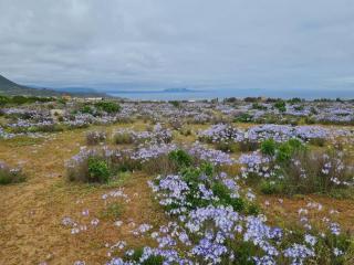 Casa vista al mar, exquisita - 1