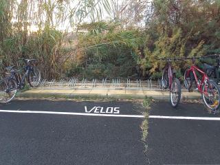 Appartement avec piscine et parking, proche des commerces - FR-1-387-189 - 7