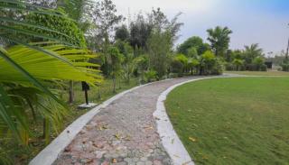 The Greenwood - Tezpur - Tezpur - 1