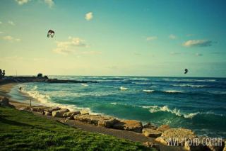 Alona's Apartments - Beach Apartment - Haifa - 3