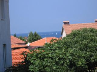Apartment Iva - Rovinj - 3