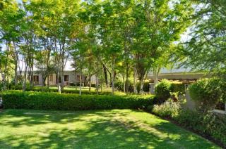 Thorntree Country Lodge - Oudtshoorn - 6