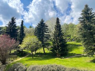 Villa die Sonne Apartments mit großem Garten - Schwalefeld - 2