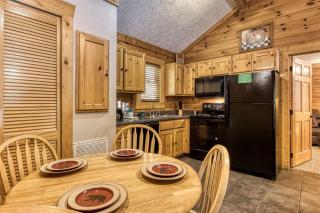ER301 - Eagle's Hideaway - Great Location! Close To All The Action! cabin - 2