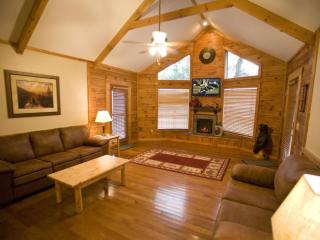 ER79 - Robyn's Nest - Great location, Close to all the action! cabin - 7