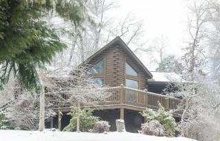 ER79 - Robyn's Nest - Great location, Close to all the action! cabin - 2