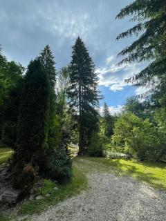 Esigman - log cabin in Transylvania - Filia - 4