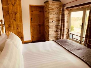 Detached Barn in Tamar Valley, EV charging included - Yelverton - 3