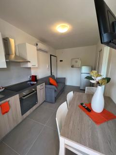 Twin Pine trees flats, near beach - Bibione - 3