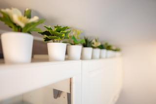 Loft Giulietta - Milan - 4
