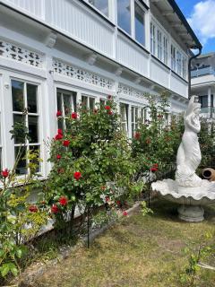 Villa Waldrose - Binz - 9
