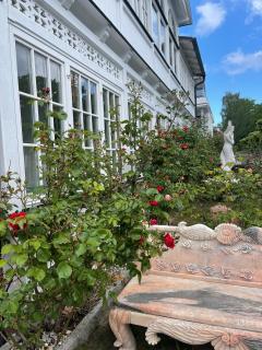 Villa Waldrose - Binz - 1