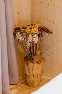 Apartmán pod Demänovskou horou - Demänovská Dolina - 5