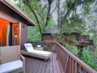 The Tamara Coorg - 9