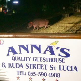 Annas Bed and Breakfast - St Lucia - 5