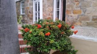 Twin Palms Accommodations - 3