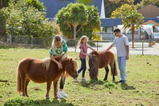 Mobil Home XXL 4 chambres - Camping Les Jardins du Morbihan - 9