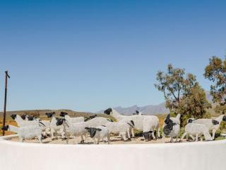 AfriCamps at Karoo 1 - De Doorns - 2