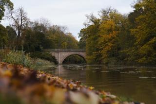 Gardeners Cottage, Wynyard Hall - - 3