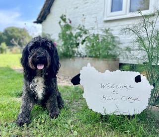 Barn Cottage -Westerlands - Graffham - 9