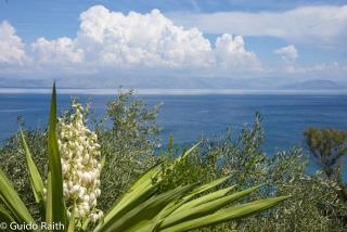 Ionian Sea View Studios by Hotelius - Episkopianá - 3